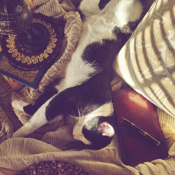 â ď¸ ALLERGY ALERT! â ď¸ - Picture 3 of 8